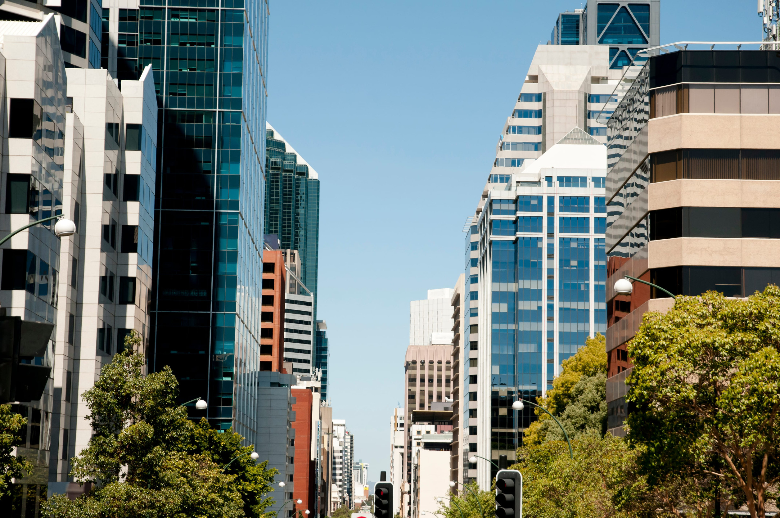 Street view of a modern cityscape with tall glass and concrete buildings on both sides, trees lining the road, and a clear blue sky above.